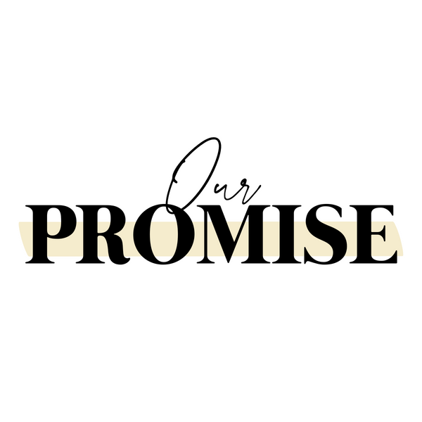 Graphic for the title, Our Promise